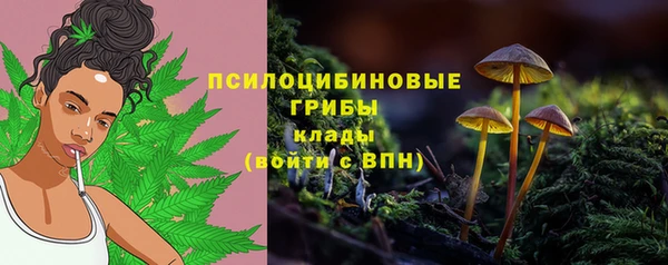 СК Беломорск