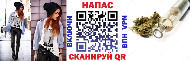 Бошки марихуана план  где можно купить наркотик  Гремячинск 